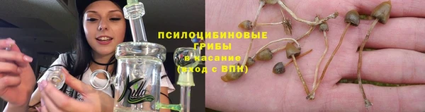 не бодяженный Аркадак