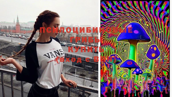 не бодяженный Аркадак