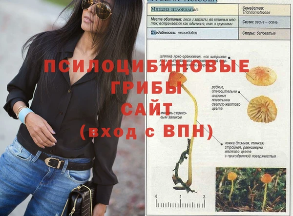 дурь Арсеньев