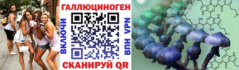 Галлюциногенные грибы мицелий Барыш